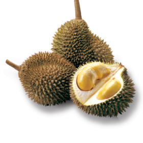 durian1