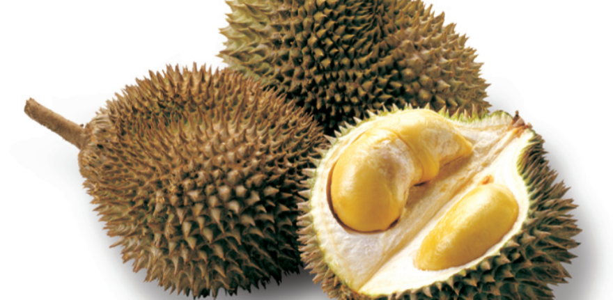 durian1