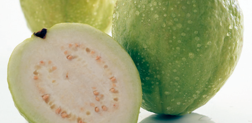 guava1