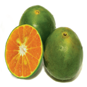 honey-mandarin-orange1