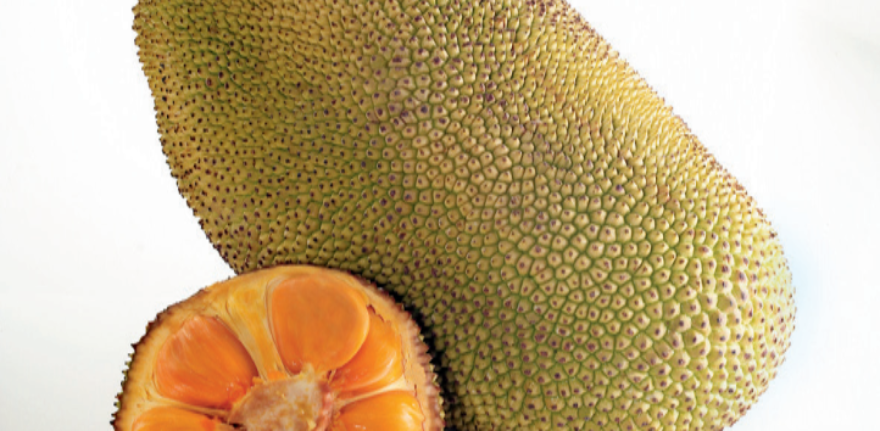 jackfruit1