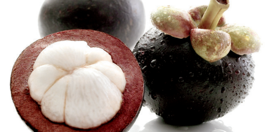 mangosteen1