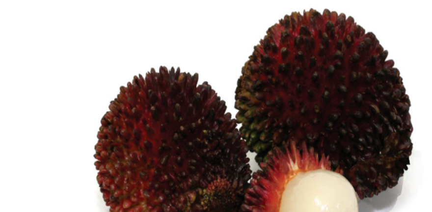 pulasan1