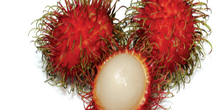rambutan1