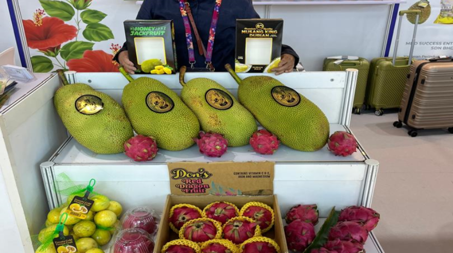asia-fruit-logistica-1