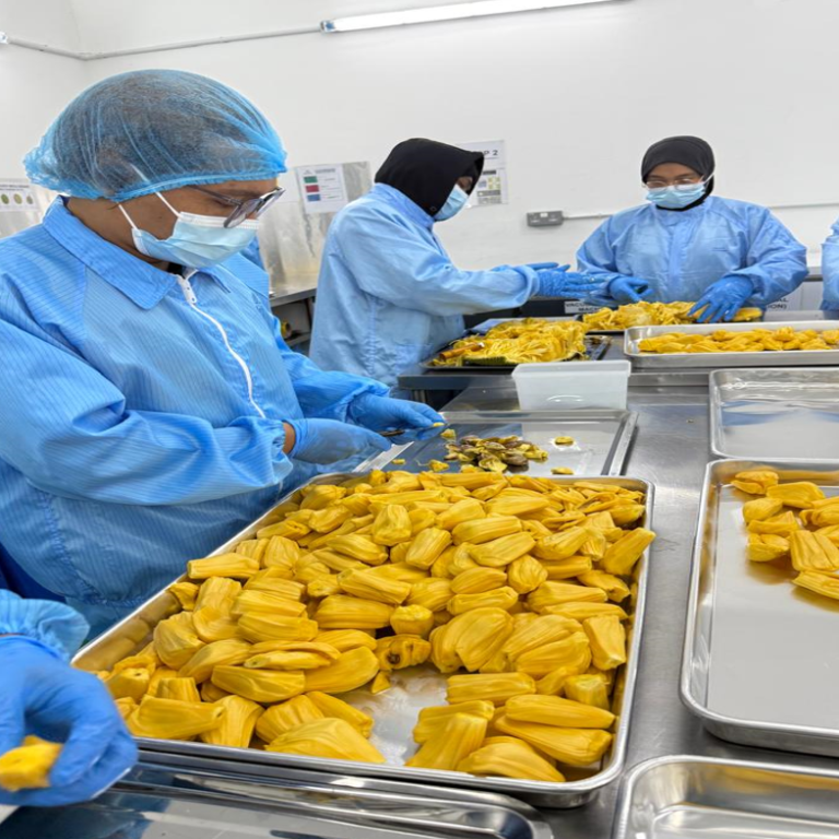 business-activities-1