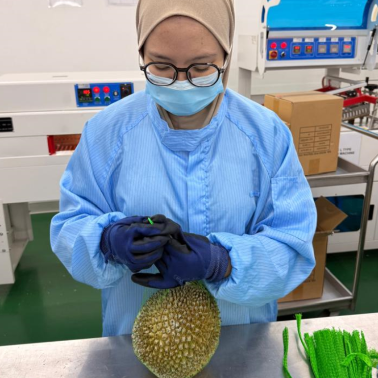 business-activities-3