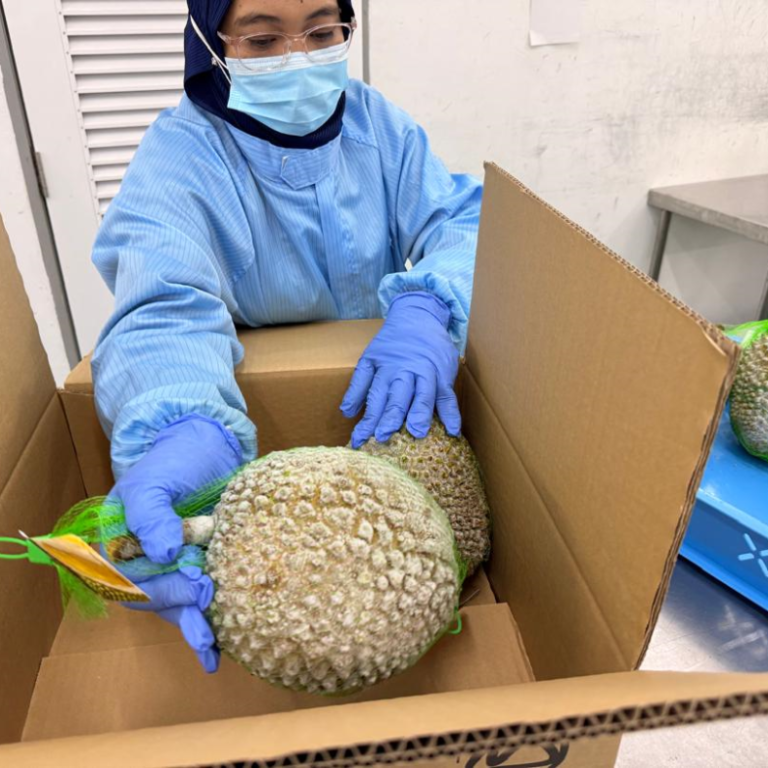 business-activities-4