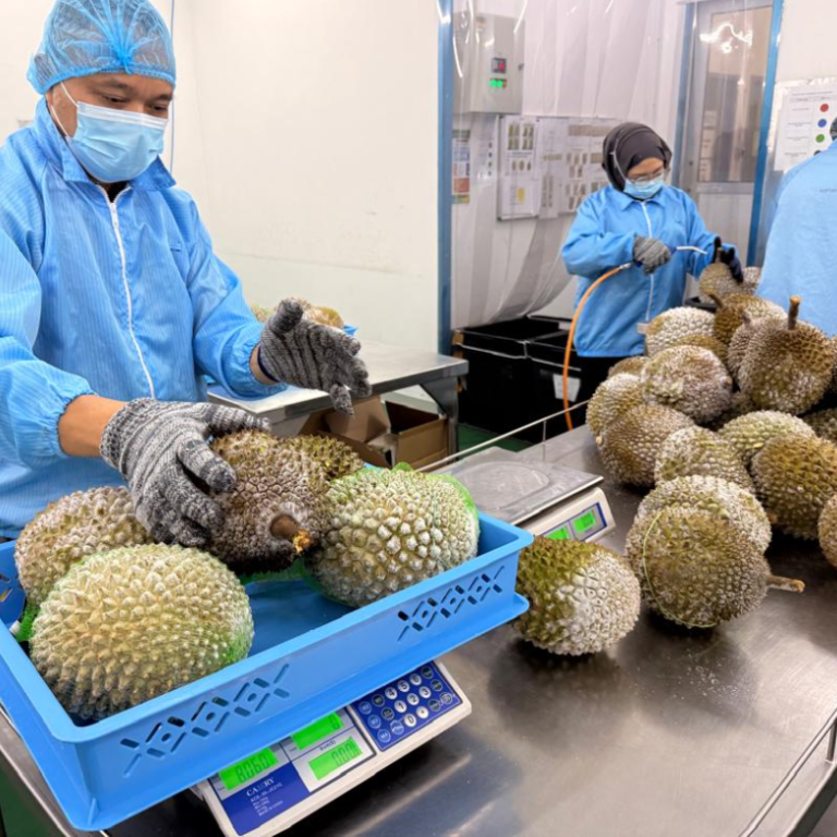 business-activities-5