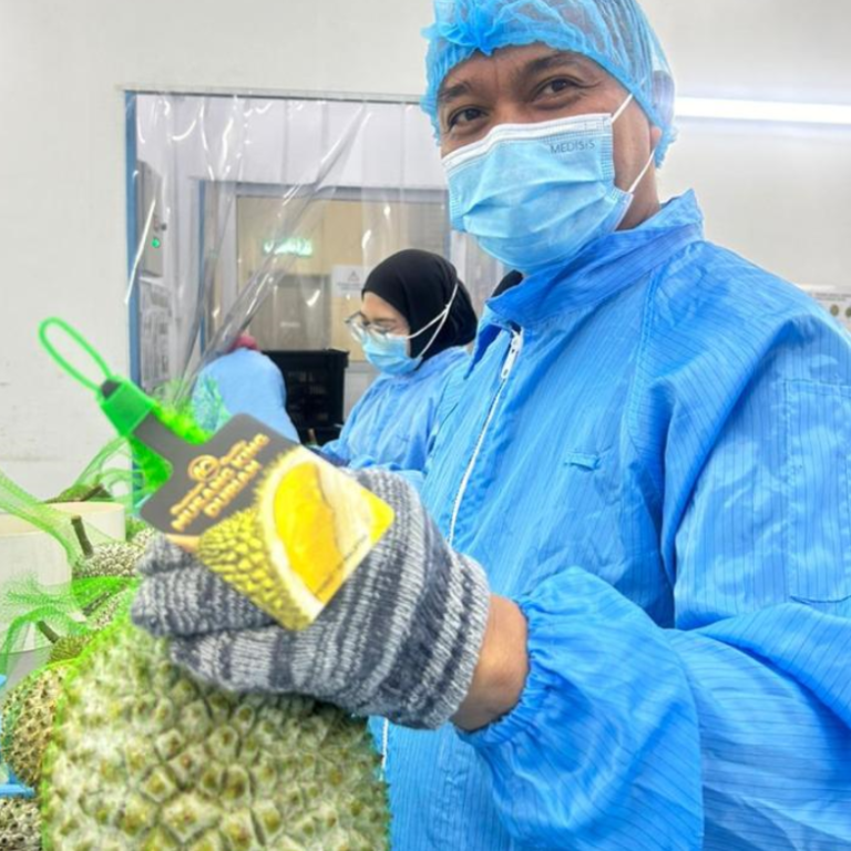 business-activities-6