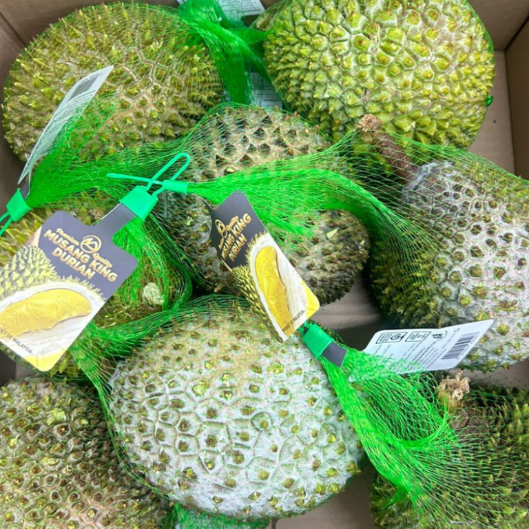 business-activities-7