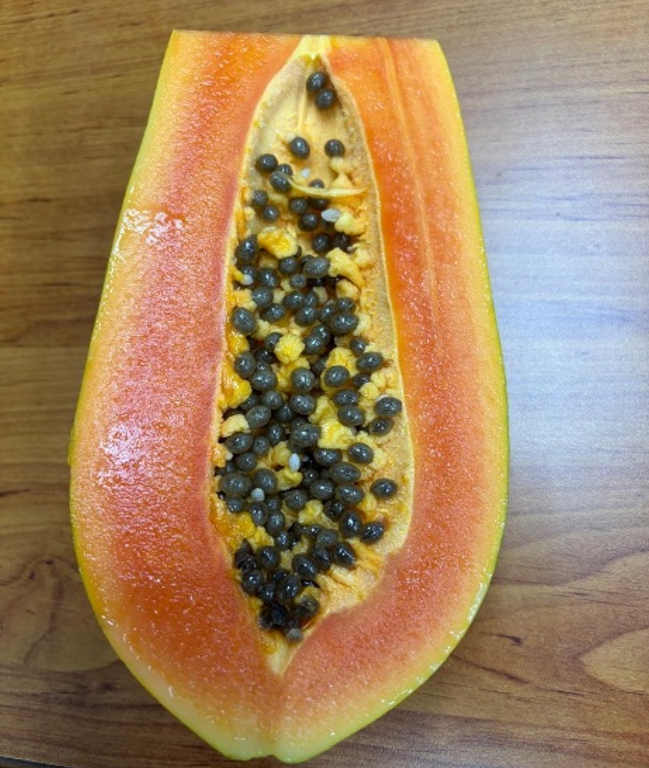 potential-papaya-1